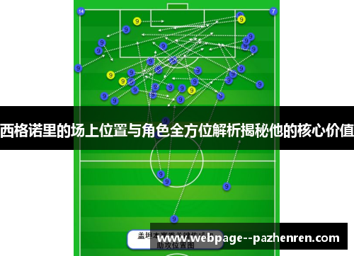 西格诺里的场上位置与角色全方位解析揭秘他的核心价值